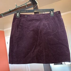 Banana Republic Mini Velvet Skirt